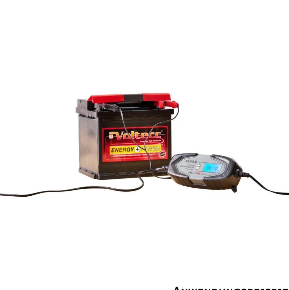 Batterieladegerät 6 V und 12 V mit Klemmen und Schnellkontaktkabel