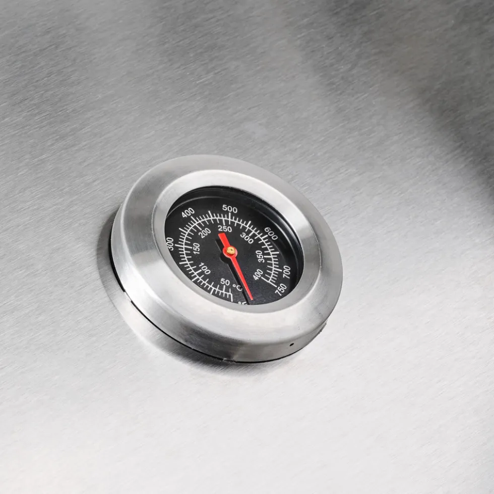 BBQ-Gasgrill "FlameMaster PRO" 4+1 Brenner