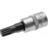 BGS® Bit-Einsatz M6 Innenvielzahn 1/4"