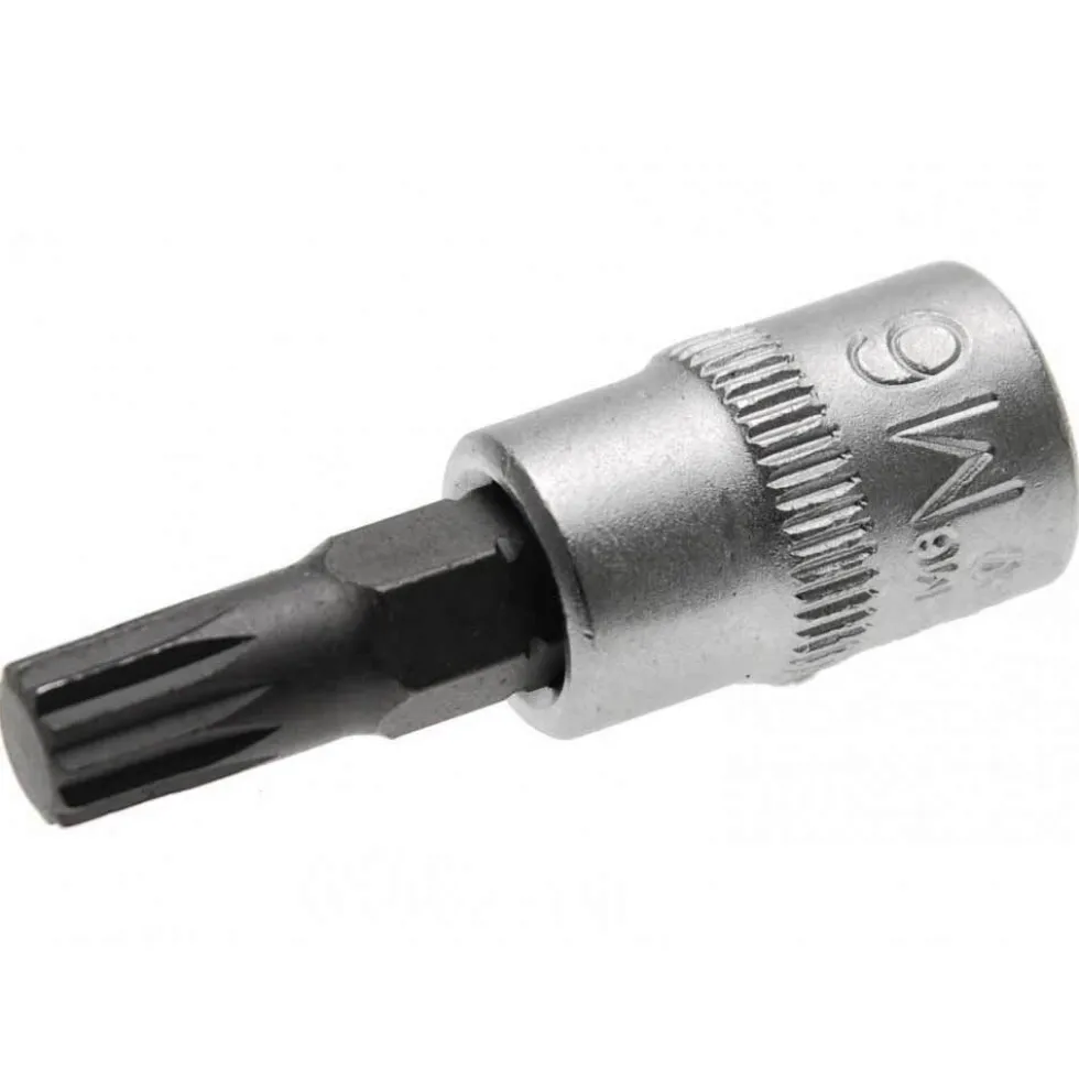 BGS® Bit-Einsatz M6 Innenvielzahn 1/4"