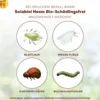Bio Schädlingsfrei Neem