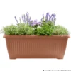 Blumenkasten Terra 80 cm terracotta