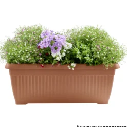 Blumenkasten Terra 60 cm terracotta