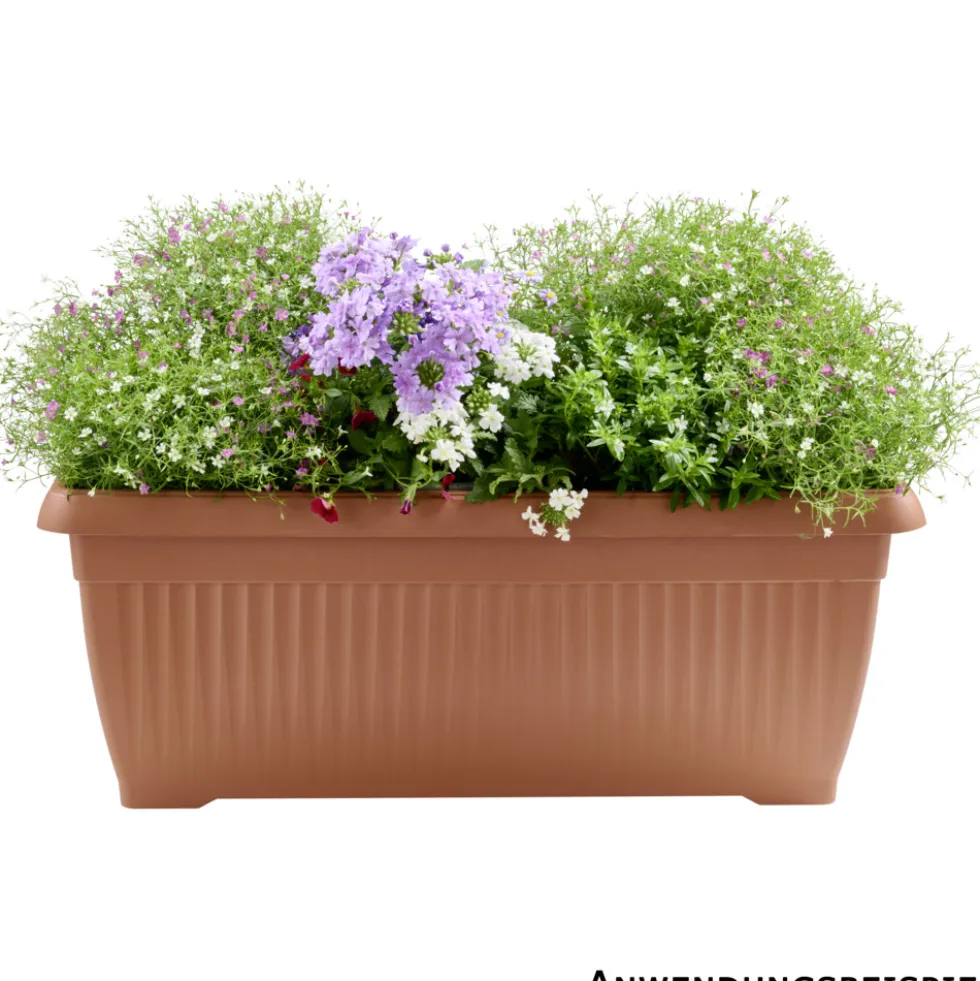 Blumenkasten Terra 60 cm terracotta