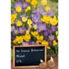 Blumenzwiebeln botanischer Krokus Mix 10 Stück