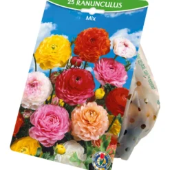 Blumenzwiebeln Ranunkeln Mix 20 Stück, bunt