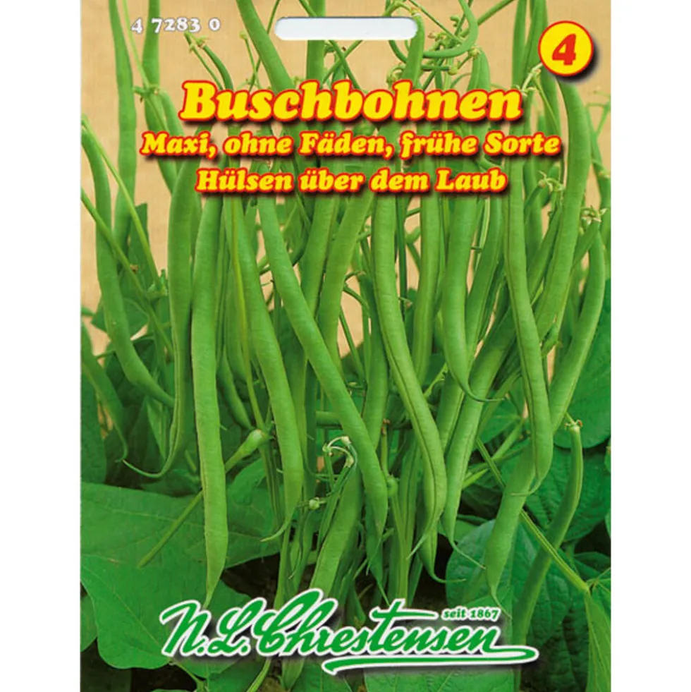 Buschbohnen Maxi ca. 9 laufende Meter