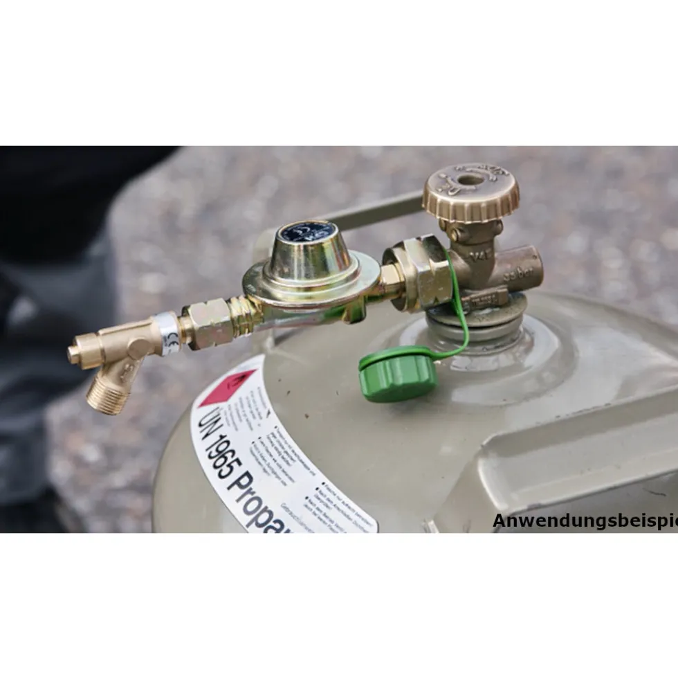 CFH Schlauchbruchsicherung SB118