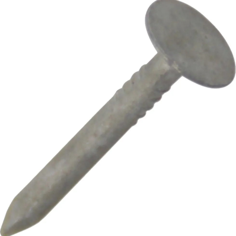 Dachpappstifte 2,5 x 30mm 2,5 kg Pack