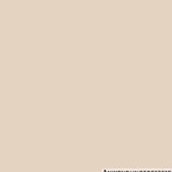DECOPRO Wandfarbe 2,5 Liter caramel matt