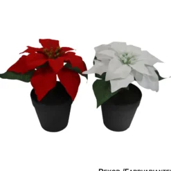 Deko-Weihnachtsstern 21 cm im Topf - sortiert