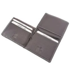 Dollarclip