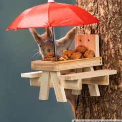 Eichhörnchen-Futterstation ''Picknick''