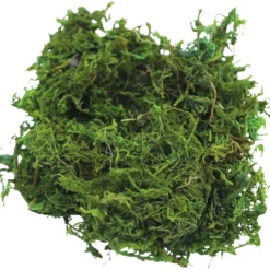 Finnlandmoos 35 g in Grün