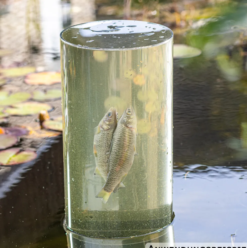 Fischsäule für den Gartenteich 65 cm