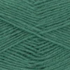Garn Hot Socks uni 50 g tannengrün