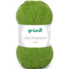 Garn Lisa Premium uni 50 g maigrün