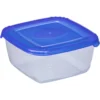 Gefrier- und Frischhaltedose L, Transparent