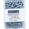 Gewindeschrauben DIN 84 mit Muttern 4 x 16 mm / M4 je 50 Stück