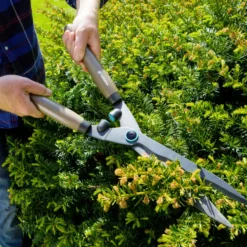 Heckenschere TraditionCut mit Echtholzgriff