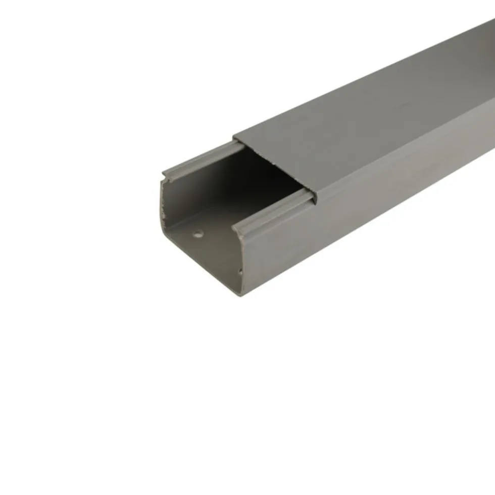 Kabelkanal 40 x 60 mm x 2 m grau