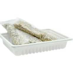 Katzengras mit Schale zum Selbstziehen