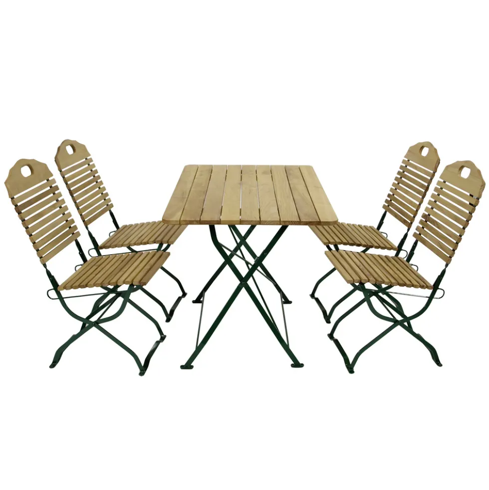 Kurgarten-Garnitur 5-teilig Flachstahl Grün + Robinie