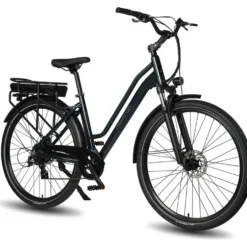 maxtron City-E-Bike