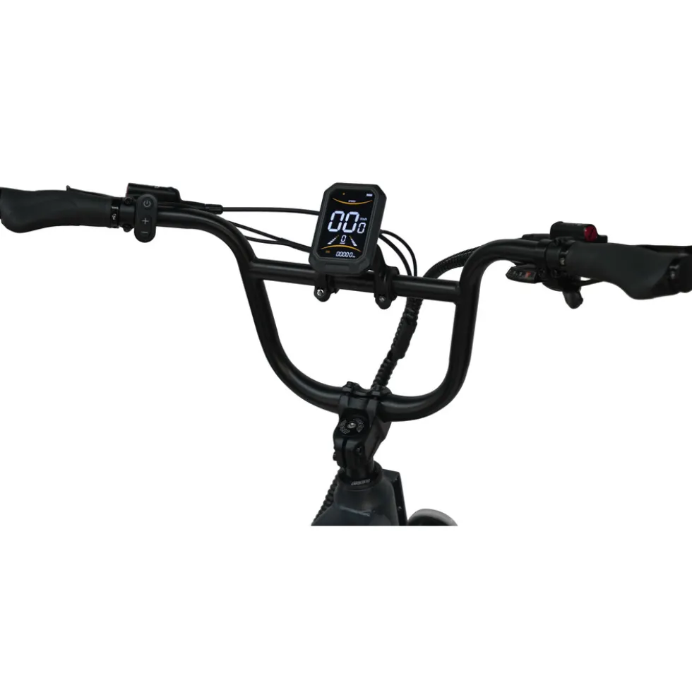 maxtron Offroad-E-Bike "Camel" 20" dunkelgrau
