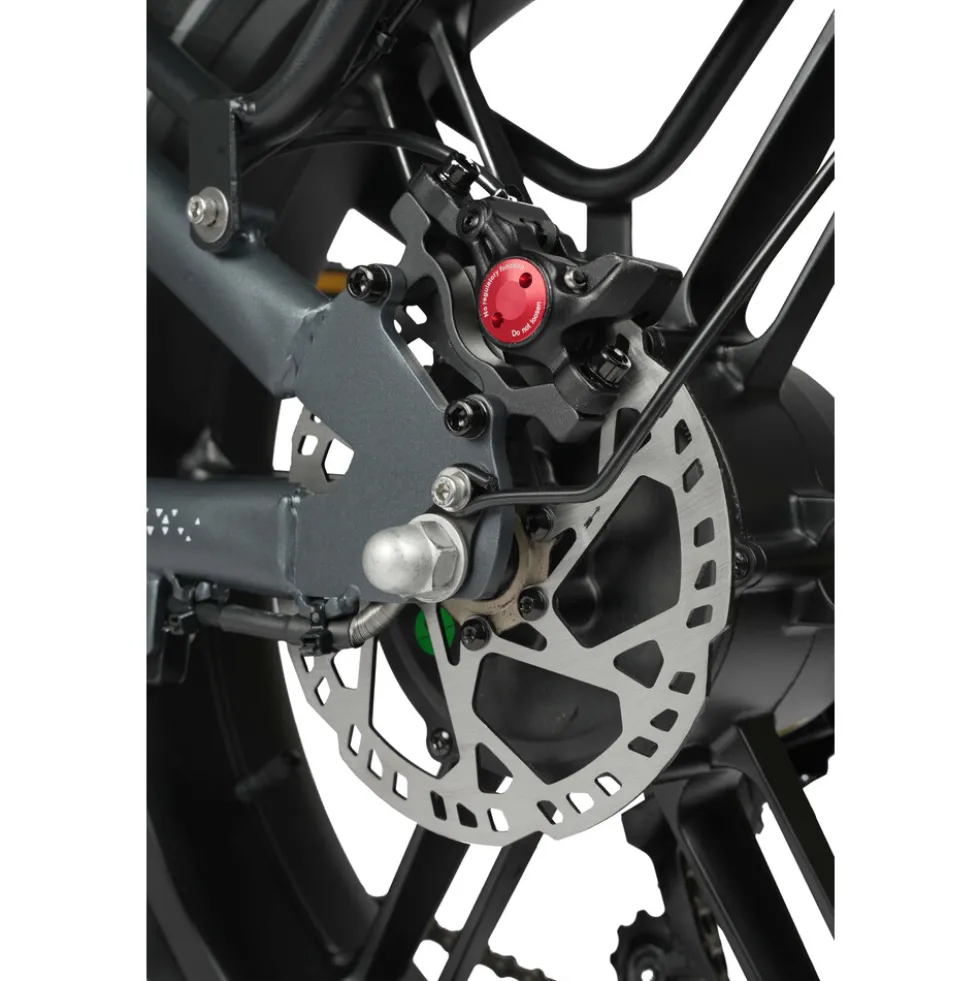 maxtron Offroad-E-Bike "Camel" 20" dunkelgrau