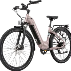 maxtron Trekking-E-Bike "Marathon" 28" goldfarben