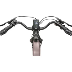maxtron Trekking-E-Bike "Marathon" 28" goldfarben