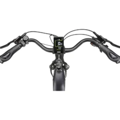 maxtron Trekking-E-Bike