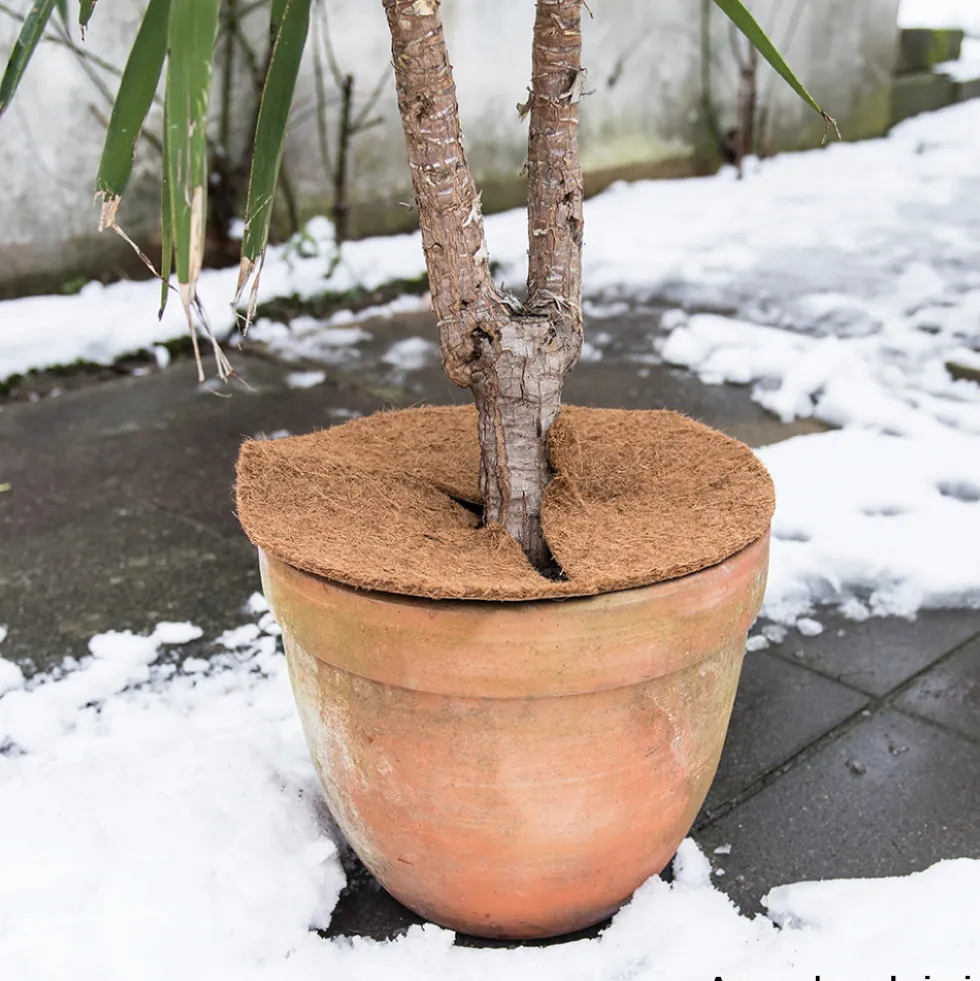 Mulchscheibe Ø 40 cm aus Kokosfilz