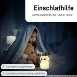 Nachtlicht 