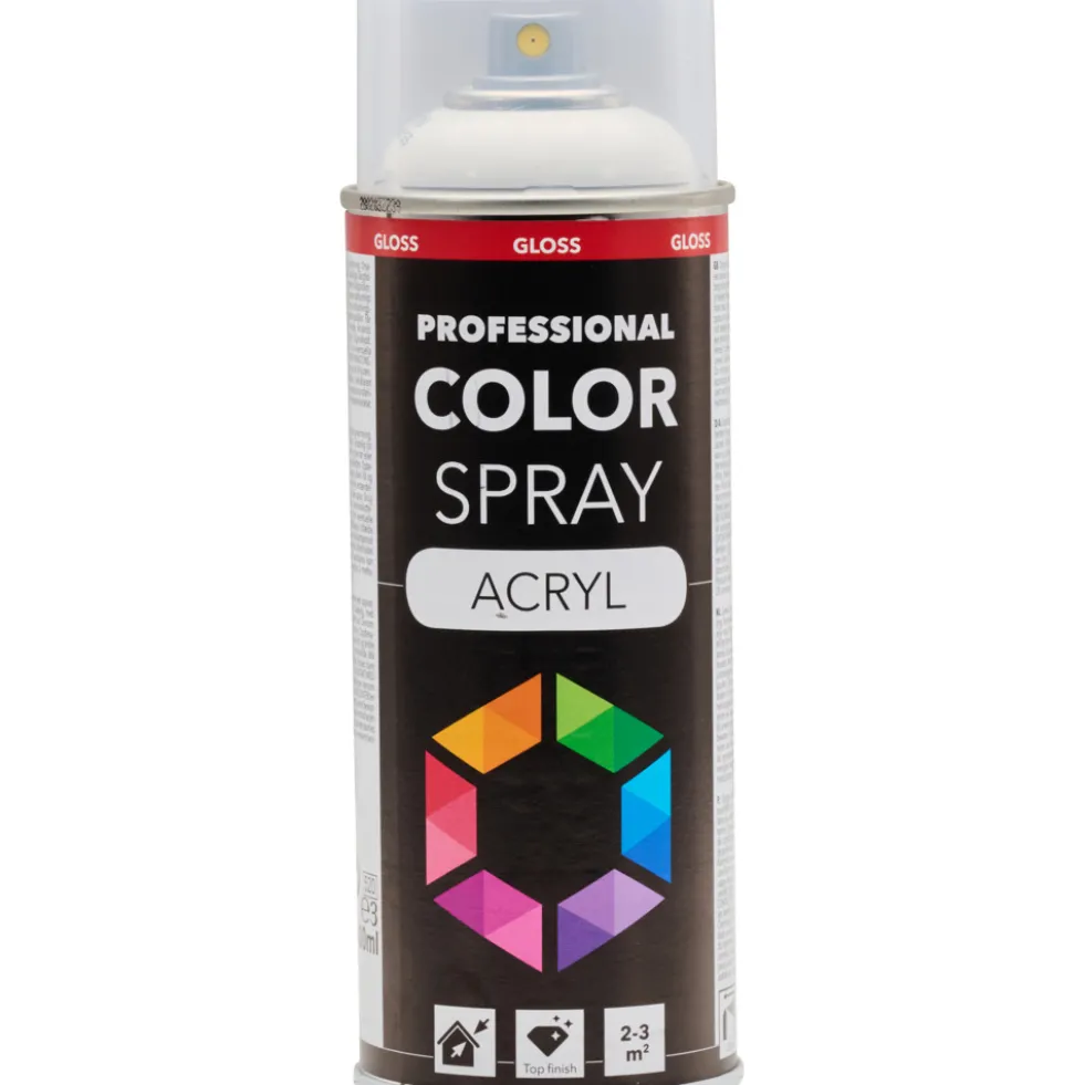 Profi-Spray hochglänzend Reinweiß