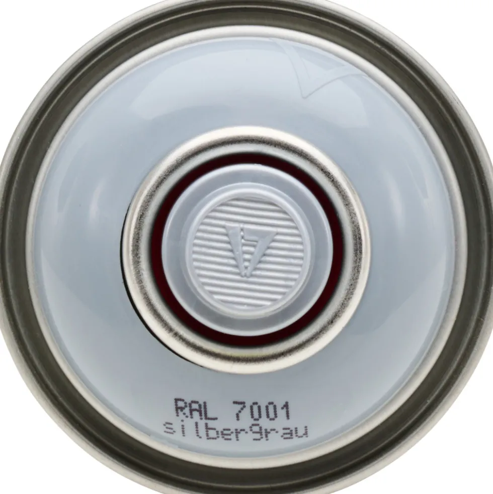 Profi-Spray hochglänzend Silbergrau