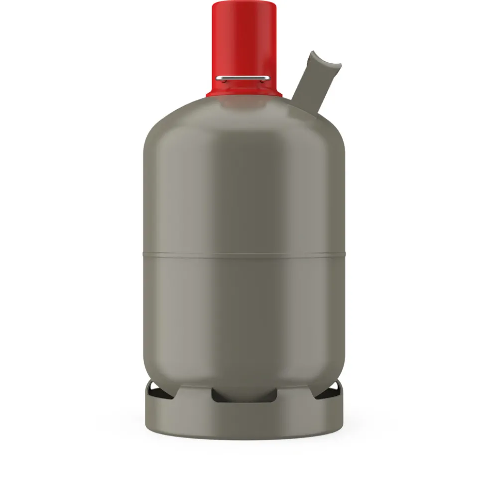 Progas Propan Gasfüllung 5 Kg Eigentumsflasche grau