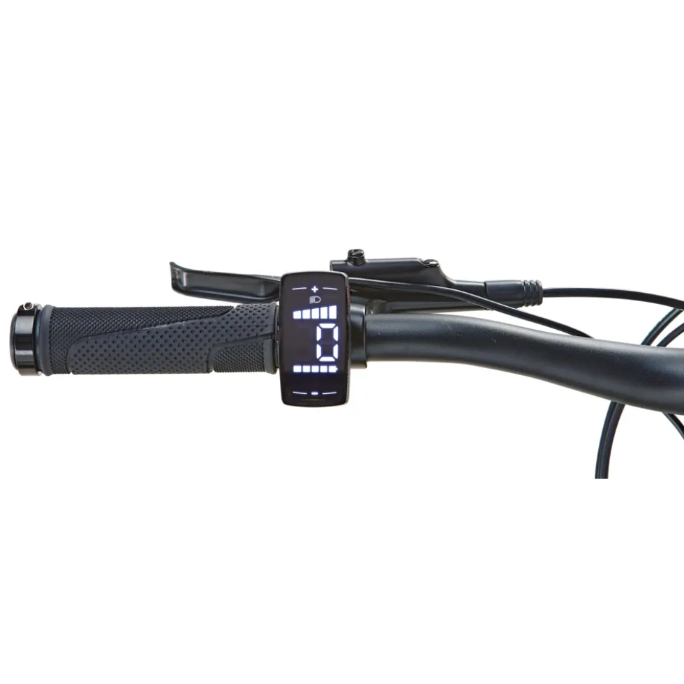 PROPHETE Graveler 22 Fully E-Mountain-Bike 27,5" in Grün
