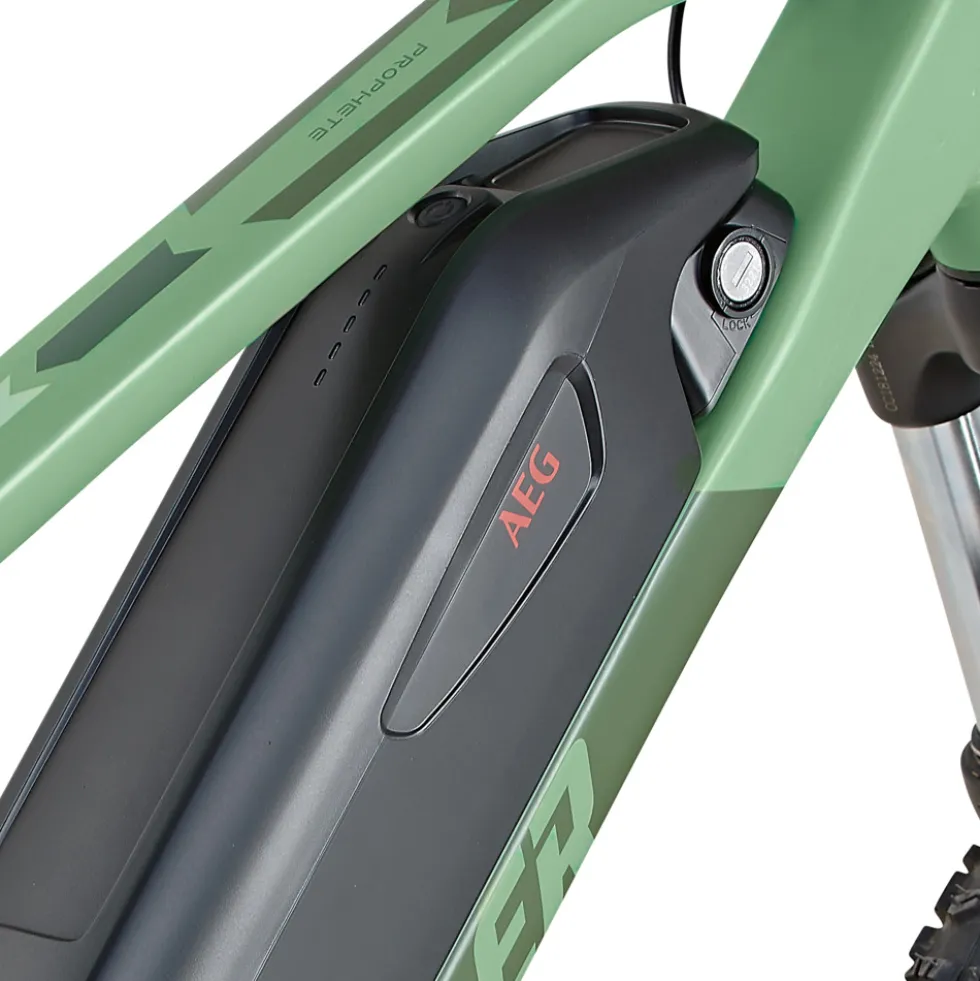 PROPHETE Graveler 22 Fully E-Mountain-Bike 27,5" in Grün