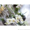 Prosperplast Orchideenstab Deluxe in Farbauswahl