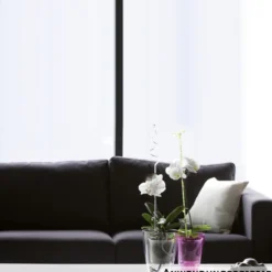 Prosperplast Orchideenstab Deluxe in Farbauswahl