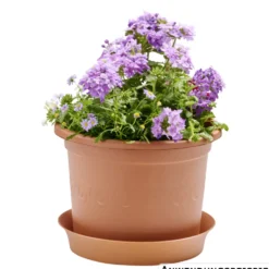 Prosperplast Pflanztopf Plastica rund 23 cm terracotta