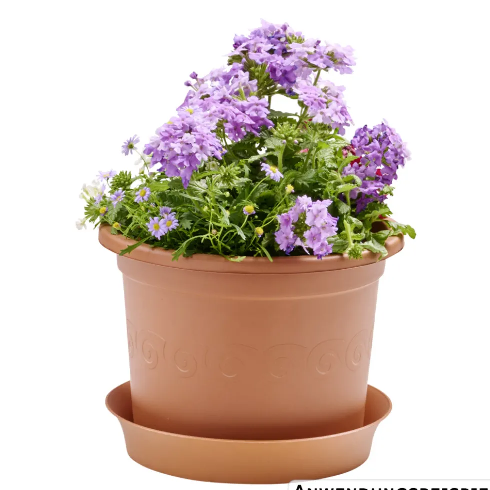 Prosperplast Pflanztopf Plastica rund 23 cm terracotta