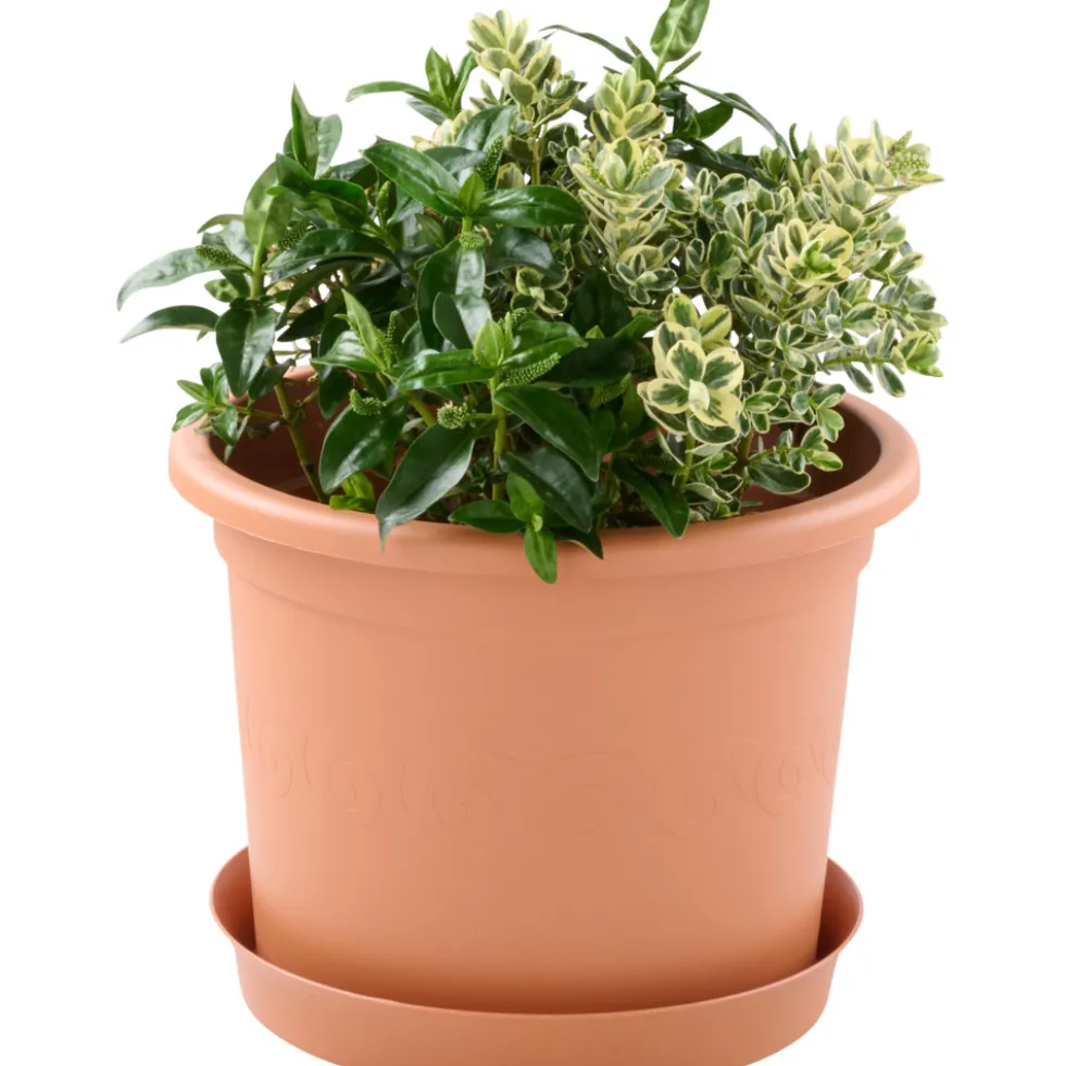 Prosperplast Pflanztopf Plastica rund 40 cm terracotta