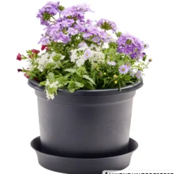 Prosperplast Pflanztopf Plastica rund 23 cm anthrazit