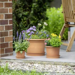 Prosperplast Pflanztopf Plastica rund 34 cm terracotta