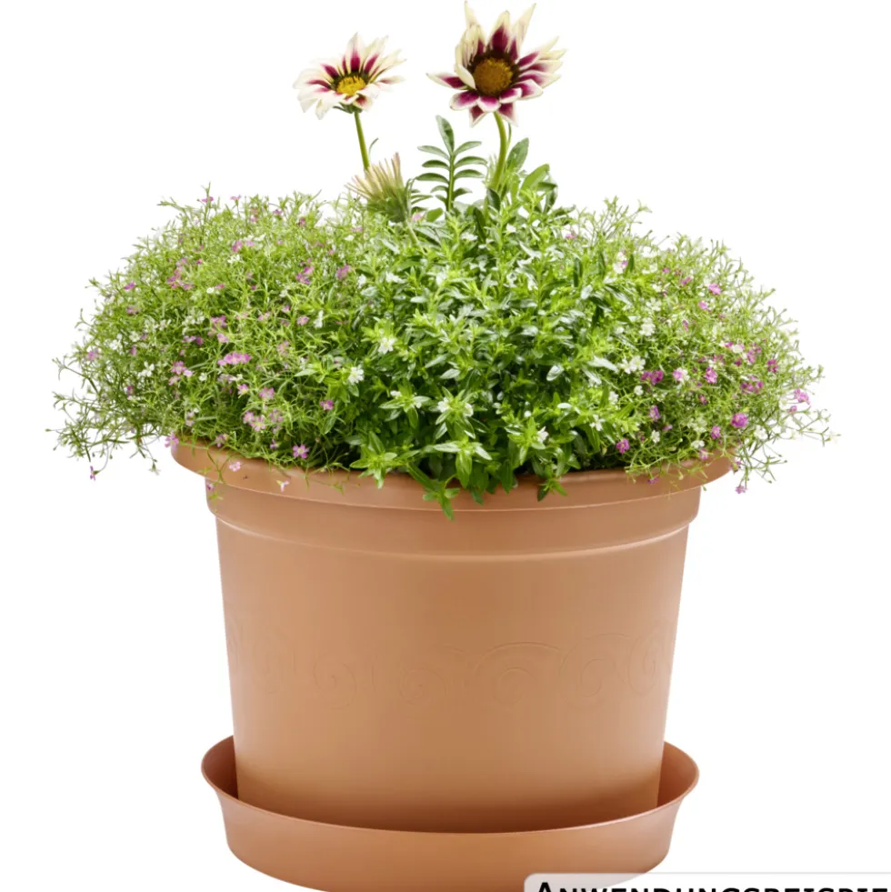 Prosperplast Pflanztopf Plastica rund 34 cm terracotta