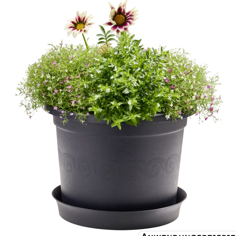 Prosperplast Pflanztopf Plastica rund 34 cm anthrazit