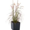 Prosperplast Pflanztopf Rato Low 32 x 32 x 32,5 cm in Anthrazit